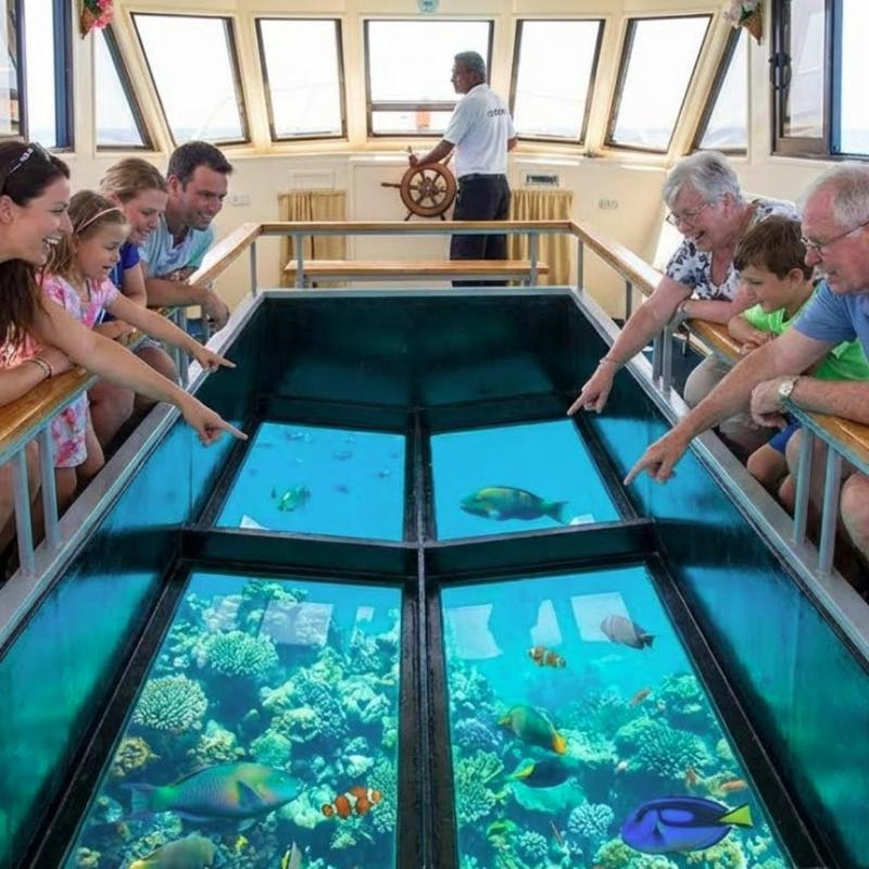 Glass Boat Tour from Sharm El Sheikh