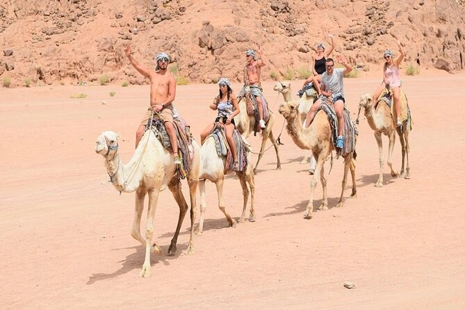 Camel ride Sharm El Sheikh desert