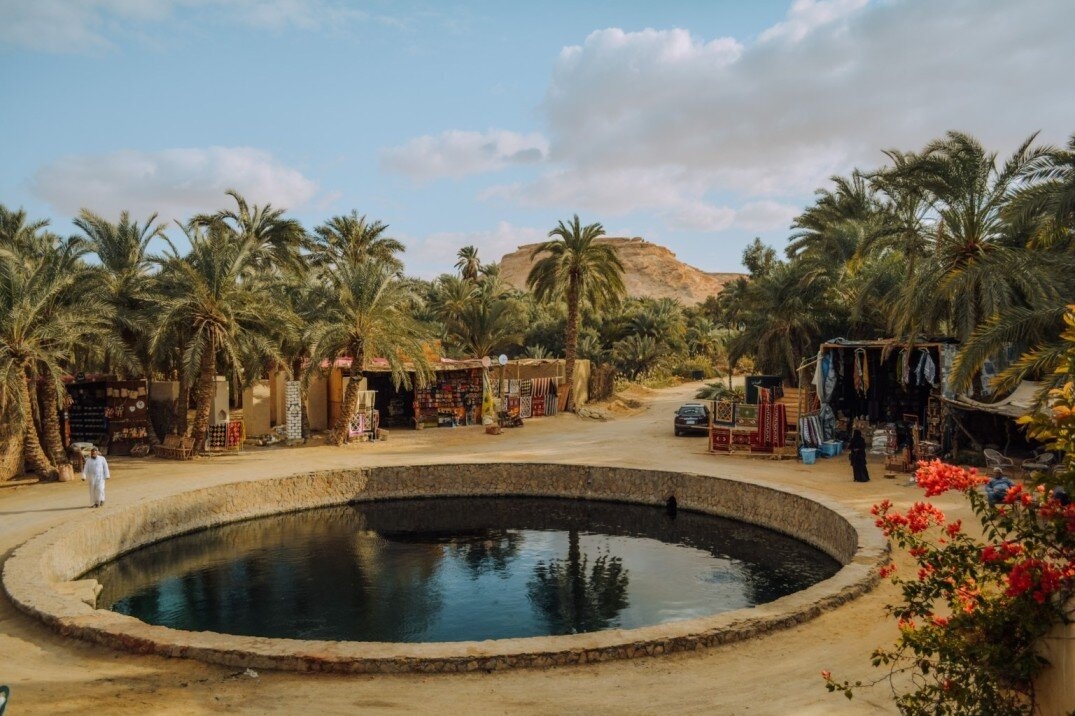 Private Tour to Siwa Oasis Desert Safari from Cairo