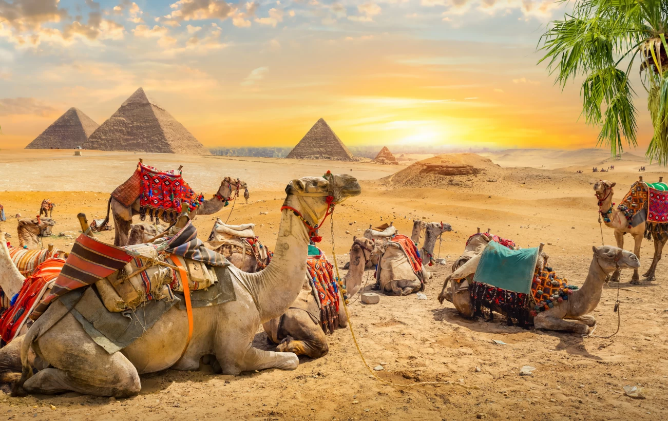6 Days Cairo and the White Desert Adventure