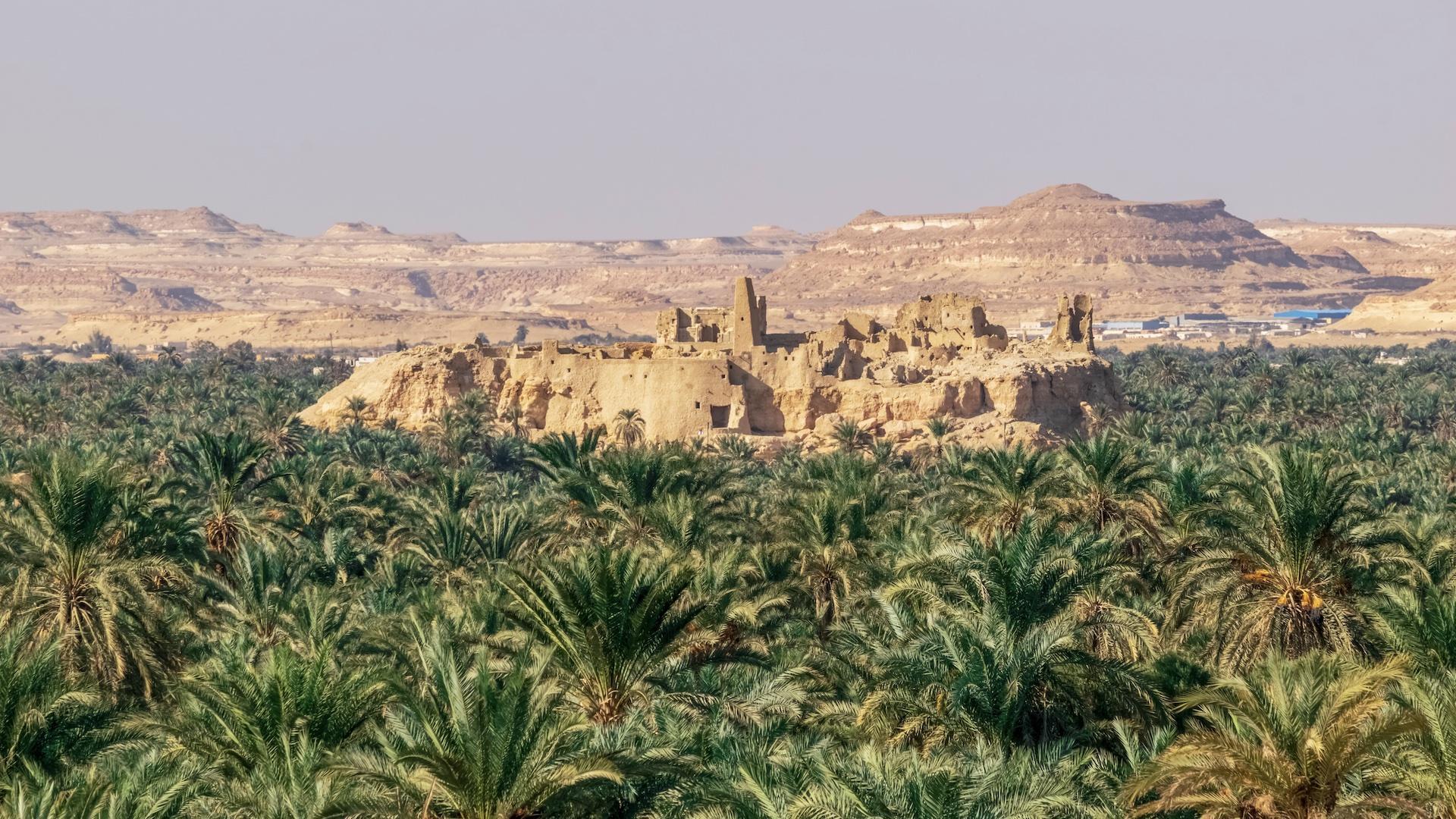 Private Tour to Siwa Oasis Desert Safari from Cairo