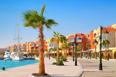 Red Sea Diving Safari From Safaga Port