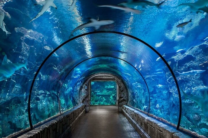 Underwater tunnel at Hurghada Grand Aquarium with colorful coral reefs