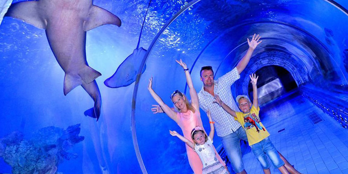 Hurghada Grand Aquarium showcasing tropical fish and marine life in Egypt