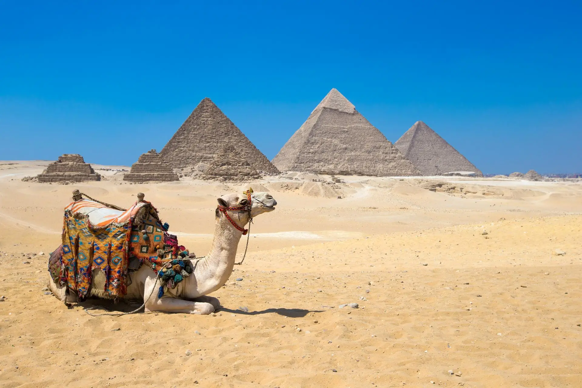 4 Days Cairo and Giza Culture Tour