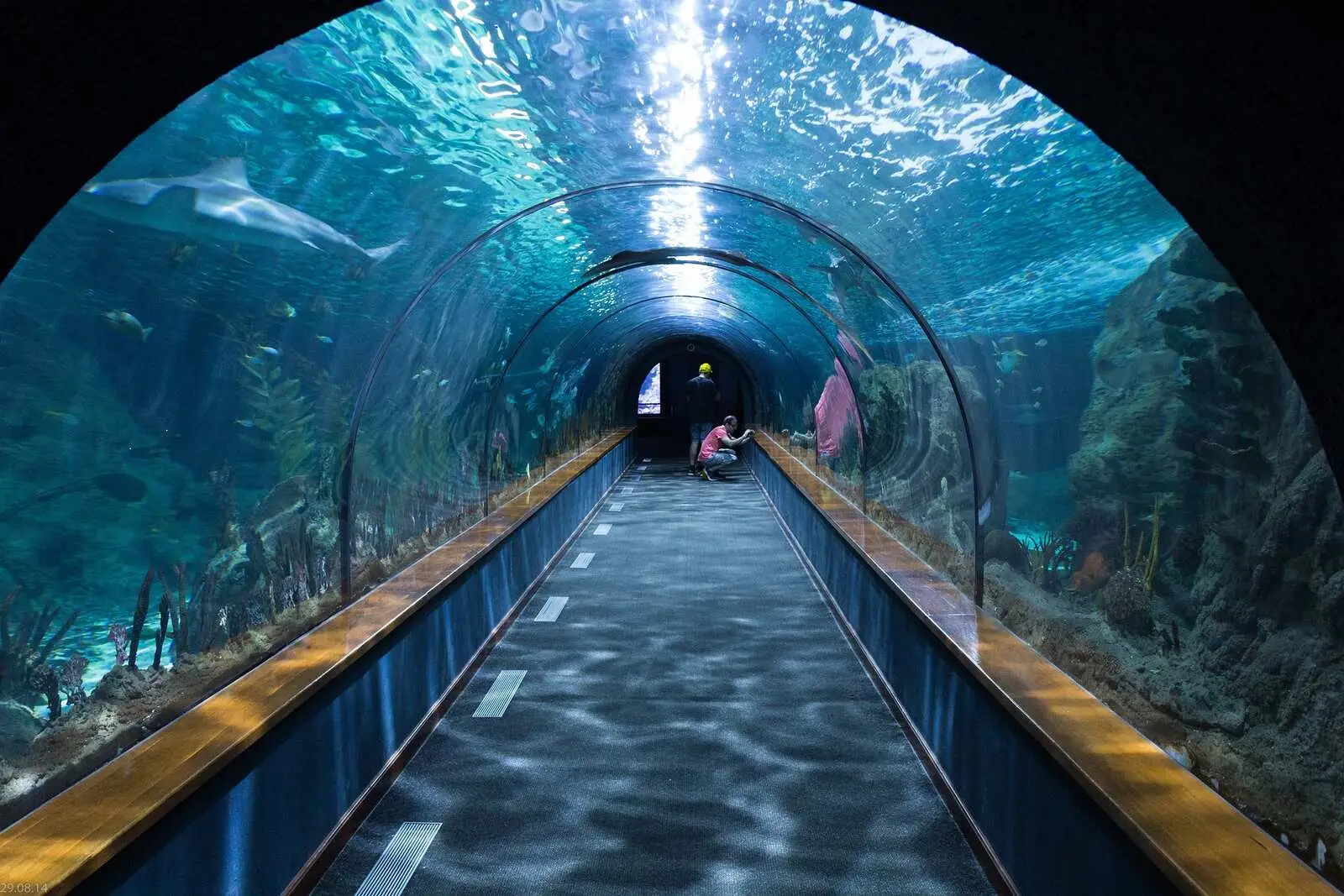 Explore Marine Life at Hurghada Grand Aquarium