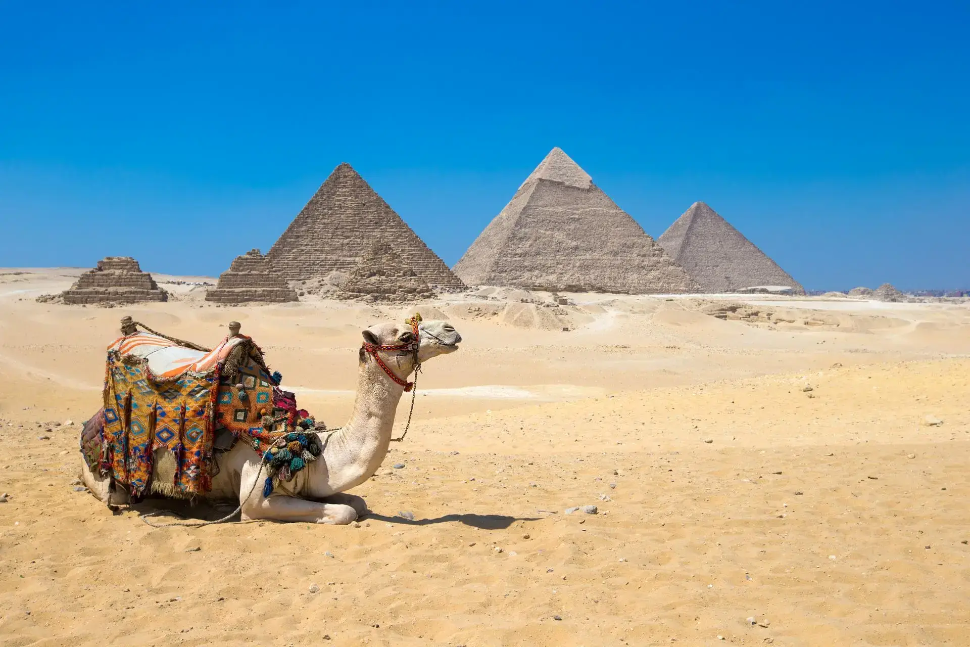 8 Days Luxury Egypt & Nile River Journey