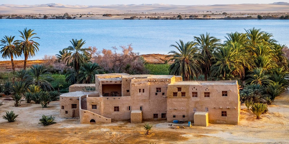 4-Days Cairo, White desert, and Alexandria family tour
